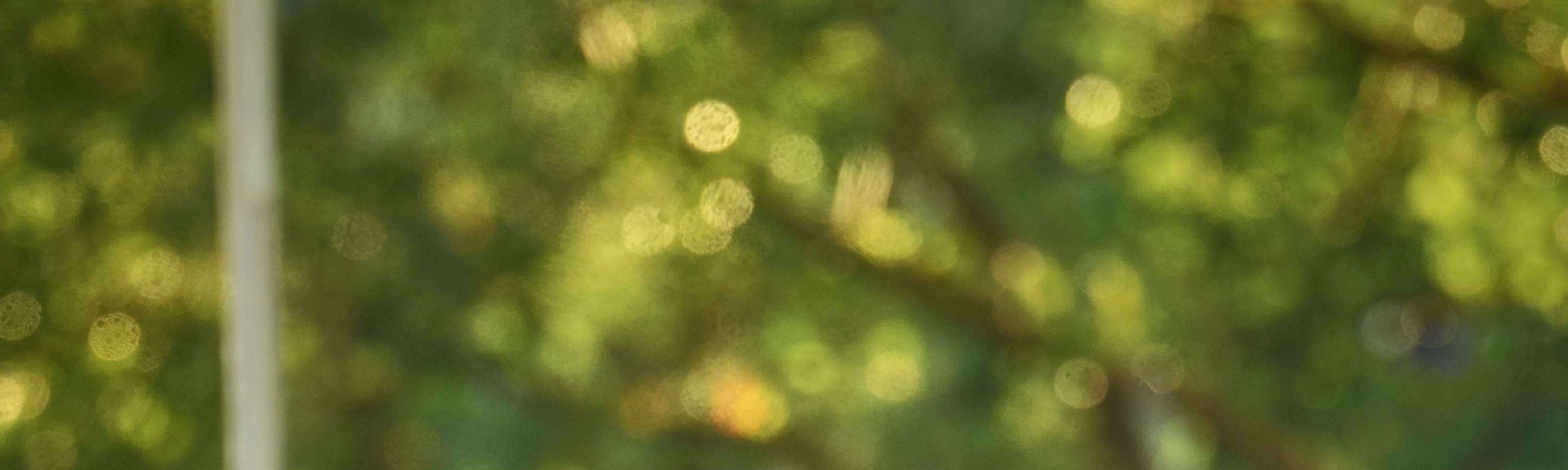 [Buffet Discount] Shenzhen Galaxy Ritz-Carlton Hotel-Buffet Coupon